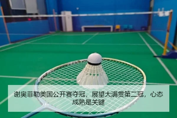 xie-ao-fei-lei-mei-guo-gong-kai-sai-duo-guan-zhan-wang-da-man-guan-di-er-guan-xin-tai-cheng-shu-shi-guan-jian-2-454.jpg