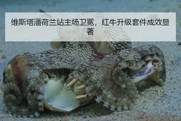 wei-si-ta-pan-he-lan-zhan-zhu-chang-wei-mian-hong-niu-sheng-ji-tao-jian-cheng-xiao-xian-zhu-2-951.jpg