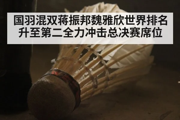 国羽混双蒋振邦魏雅欣世界排名升至第二全力冲击总决赛席位